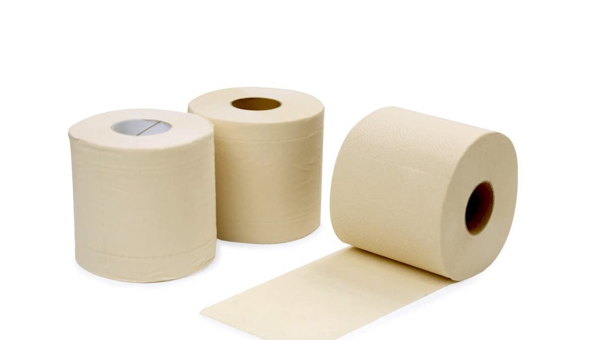 Best Bamboo Tissue manufacturer in India